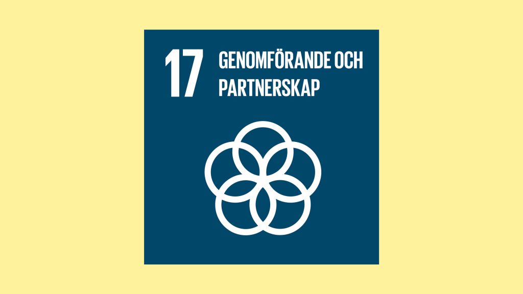 Agenda 2030 mål 17